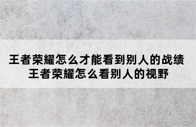 王者荣耀怎么才能看到别人的战绩 王者荣耀怎么看别人的视野